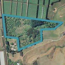 383 Wainui South Road, Whakamarama, Whakamārama