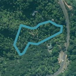 167E Sailors Grave Road, Pumpkin Hill, Whitianga