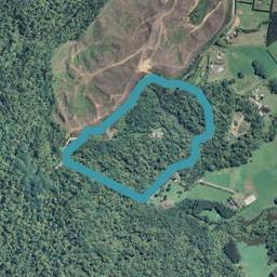 429 Thompsons Track, Aongatete, Katikati