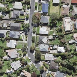 19 Warwick Street, Morningside, Auckland