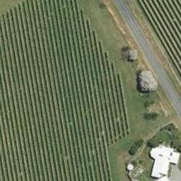 85 Murrays Road, Spring Creek