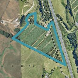 1197 State Highway 2, Whakamarama, Tauranga