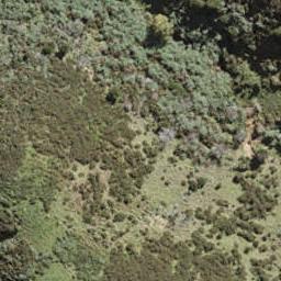 5 Tipa Road, Ostend, Waiheke Island