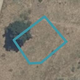 33 Clarence Drive, Bishopdale, Nelson
