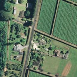 173 No 1 Road, Te Puke, Te Puke