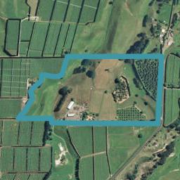 799 Old Coach Road, Pongakawa, Te Puke
