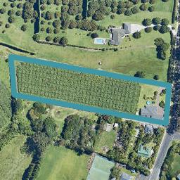 251 Te Puna Road, Te Puna, Tauranga