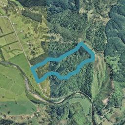 87 State Highway 2, Taneatua, Tāneatua