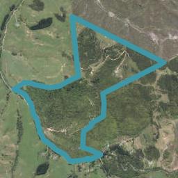 707 Tahekeroa Road, Kaukapakapa
