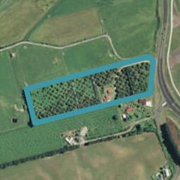 1746 Te Puke Highway, Paengaroa, Te Puke