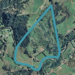 298 Woodland Road, Tahawai, Katikati