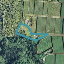 810F Oropi Road, Oropi, Tauranga