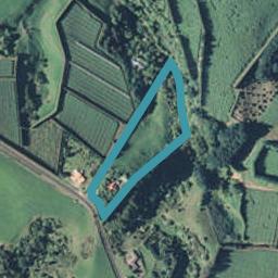 317 Tablelands Road, Tirohanga, Opotiki