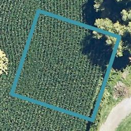 4 Waikari Road, Matapihi, Mount Maunganui