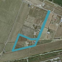 352 Jones Road, Grovetown, Blenheim