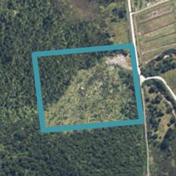 0 Omoto Valley Road, Kaiata, Greymouth
