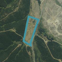 571 Okaeria Road, Maramarua Forest, Pokeno
