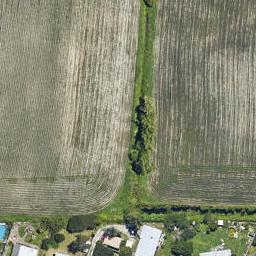 0 Seddon Street, Te Puke, TE PUKE