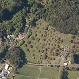 15 Tironui Drive, Whangarei