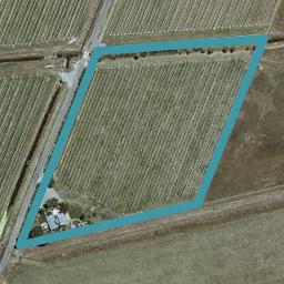166 Morgans Road, Grovetown, Blenheim