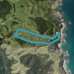 24 Tuaraki Road, Mangawhai Heads, Mangawhai