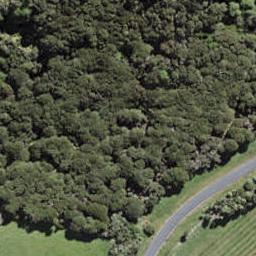 95 Park Point Drive, WAIHEKE ISLAND, WAIHEKE ISLAND
