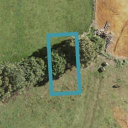 7 Wild Flower Way, Karaka, Papakura