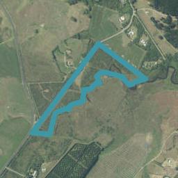 98 Link Road, HAHEI, WHITIANGA