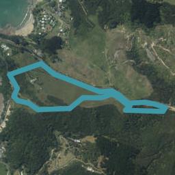 1550 Colville Road, Amodeo Bay, Coromandel