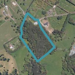 48 Forest View Road, Kamo