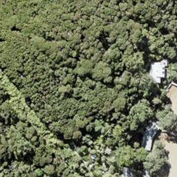 0 North Cove, Kawau Island, Kawau Island