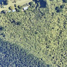 187 Tumoana Road, TIKITERE, ROTORUA