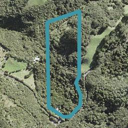 92 Lone Kauri Road, New Lynn