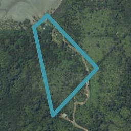 205 Kopaki Point, COOKS BEACH, WHITIANGA