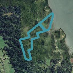 256 Hiwarau Road, Kutarere, Waiotahe Valley