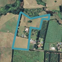 376D Youngson Road, Whakamarama, Tauranga