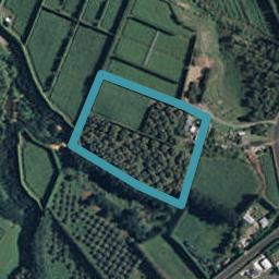 19 Ongare Point Road, Tahawai, Katikati