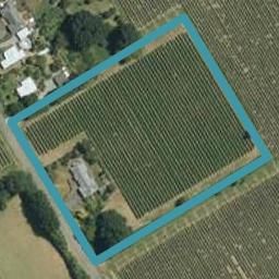 145 Vickerman Street, Grovetown, Blenheim
