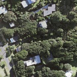37 North Piha Road, Piha, Piha