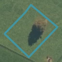8 Ancroft Drive, Matamata, Matamata