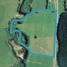 407 Campbell Road, PUKEHINA, Pukehina