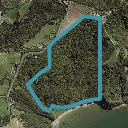 236 Church Bay Road, Waiheke Island, Waiheke Island
