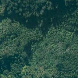 84 State Highway 25, PUMPKIN HILL, WHITIANGA
