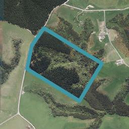 230 Otokia-Kuri Bush Road East, Kuri Bush, Dunedin