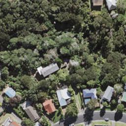 47 Pemberton Avenue, Bayview, Auckland