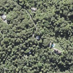 114 Opanuku Road, Henderson Valley, Auckland