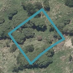 4 Kingfisher Place, Ocean Grove, Dunedin