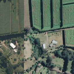 51 Killen Road, Tahawai, Katikati