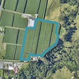 419 Joyce Road, Pyes Pa, Tauranga