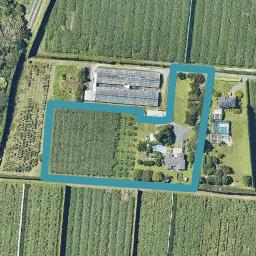 59B Castles Road, Oropi, Oropi